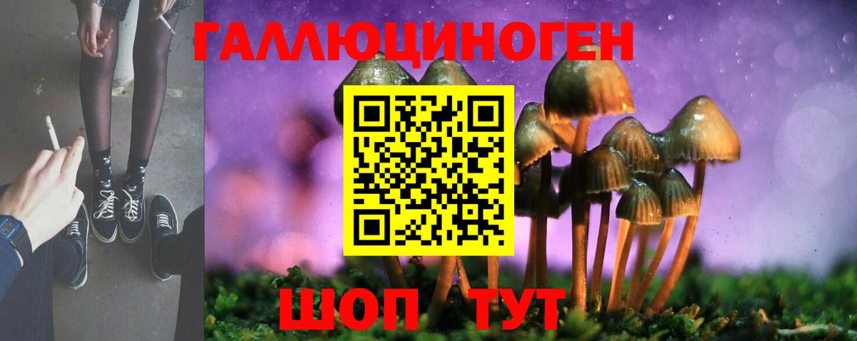 Псилоцибиновые грибы Magic Shrooms  Вход с VPN  Псилоцибиновые грибы ЛСД  Чехов 